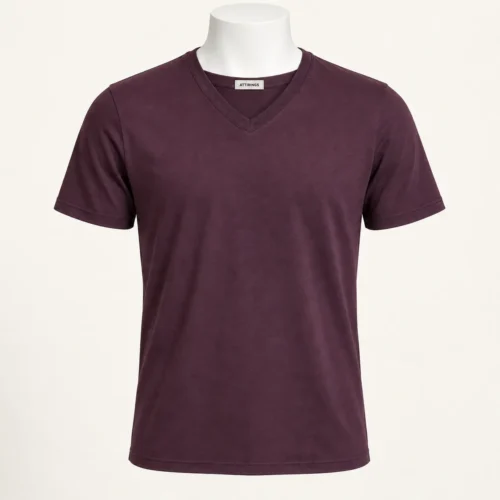 Men's Regular Fit V-Neck T-Shirt in deep muted plum by Attirings, front view