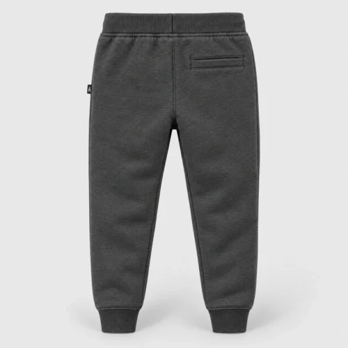 Boys' Slim Fit Fleece-Lined Joggers, Charcoal, back design visualization