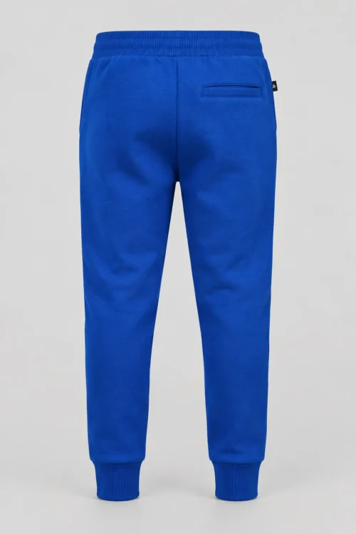 Boys' Slim Fit Ribbed Ankle Joggers, Royal Blue, back design visualization